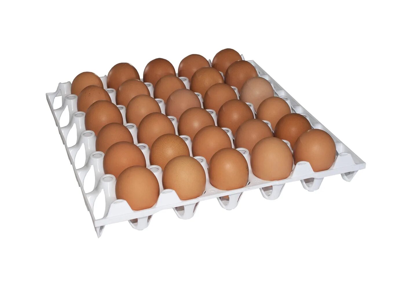 Сколько яиц в лотке. Яйцо Экстра мытое с1, 180шт. Яйца лоток 30. Яйца лоток 30шт. Куриные яйца в лотке.