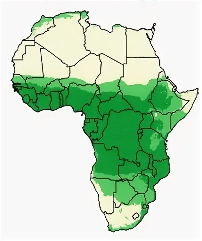 Africa grows