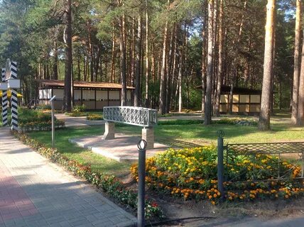 Аренда заельцовский парк
