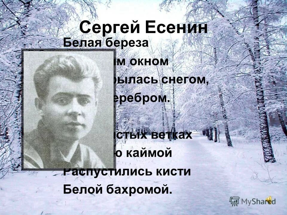 Есенин белая береза художественные средства. Есенин белая береза художественные средства. Иллюстрация к стихотворению есенина белая береза. Есенин не белы снега. Художественные средства в поэзии есенина.