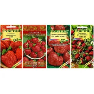 Клубника заря отзывы