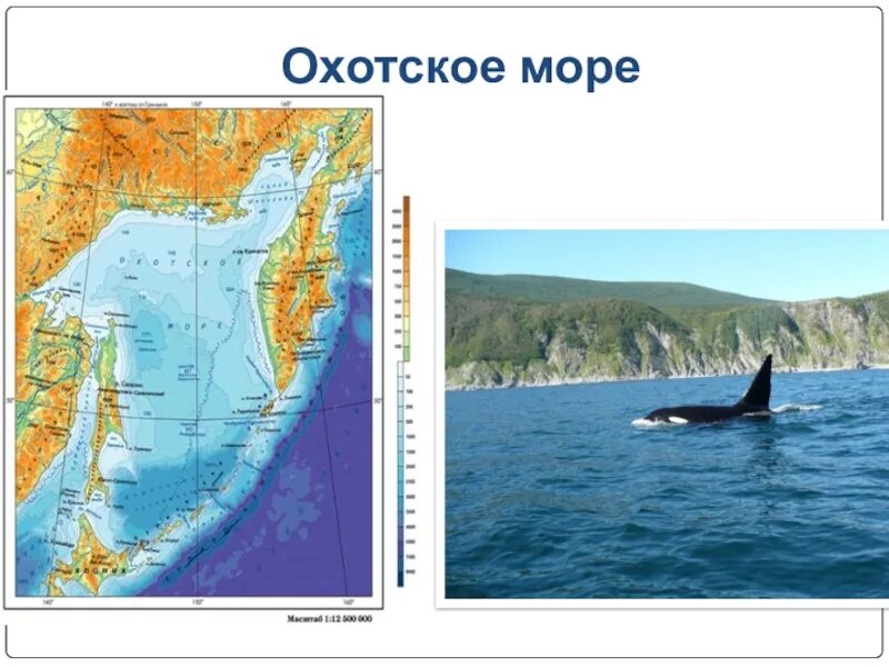 Охотское море на карте. Охотское море физическая карта. Охотское млое на аеоте. Охотское море на карте России.