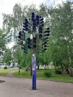 Дерево в пензе