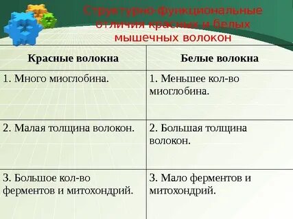Белые мышечные