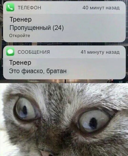 Пропустить через 22