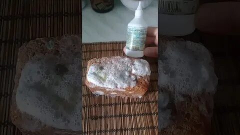 Перекись от плесени