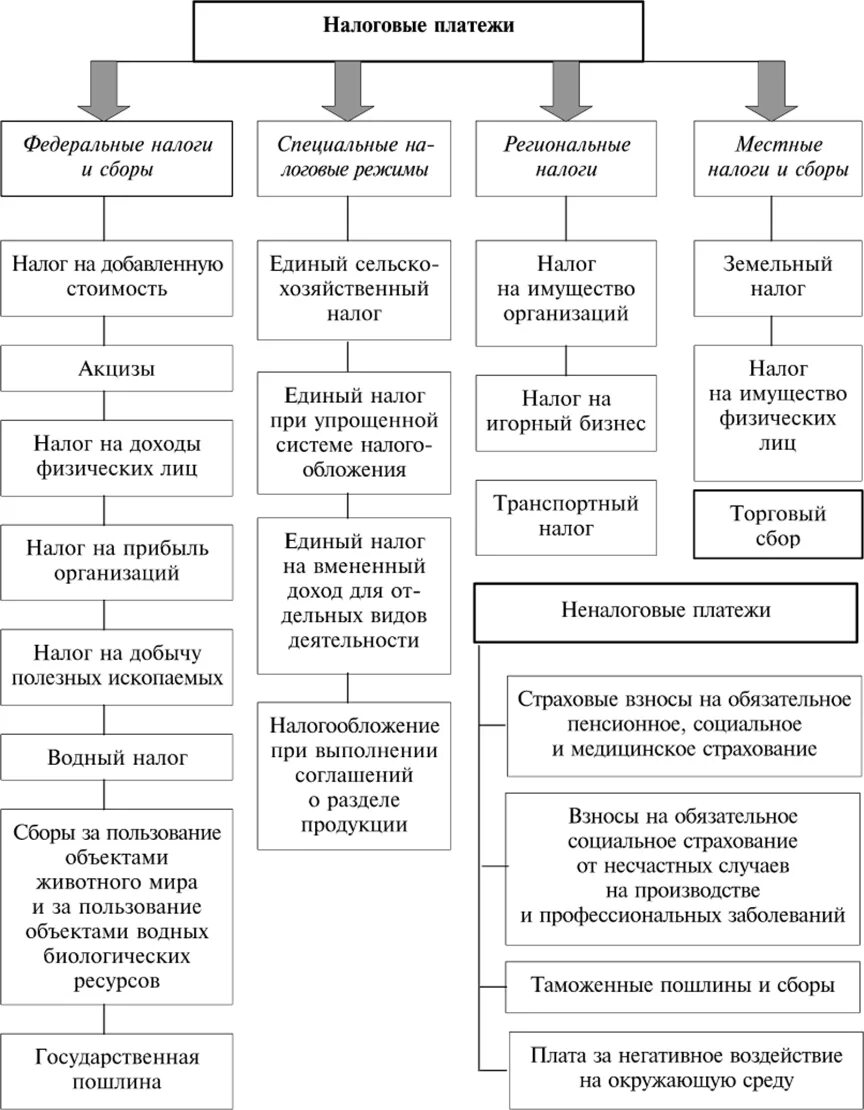 Основные платежи организации