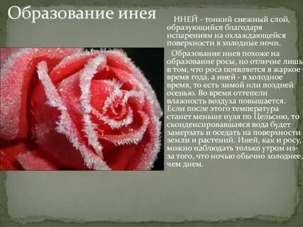 Иней это какое явление