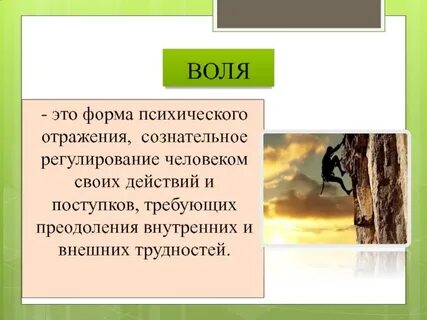 Слово воля относится к
