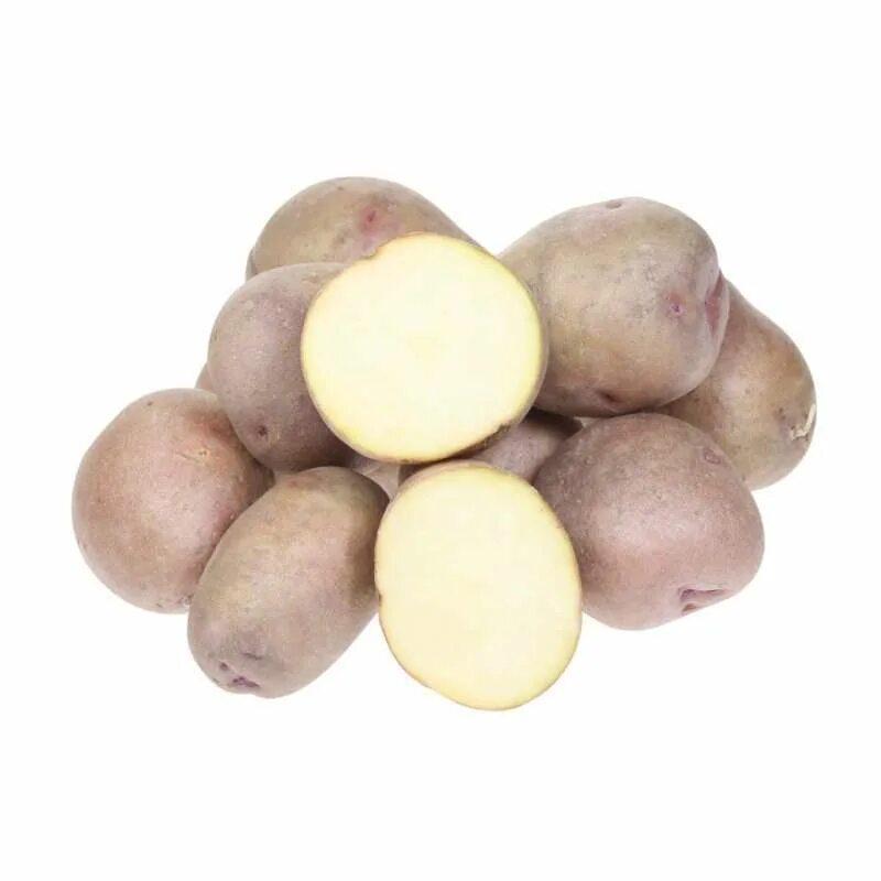 Картошка сорт жуковский ранний. Сорт картофеля жуковский. Картофель жуковский ранний описание сорта. Сорт жуковский ранний. Жуковский картофель характеристика отзывы вкусовые качества.