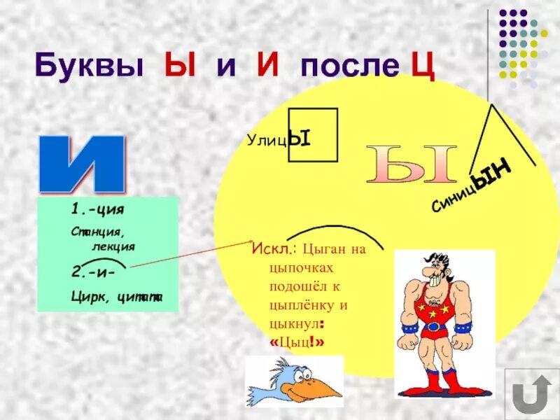 Ци ы