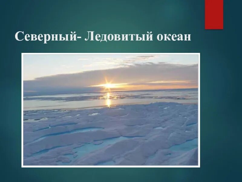 Окружающий мир Северного Ледовитого океана. Площадь Северного Ледовитого океана. Северно Ледовитый и тихий. Северный Ледовитый океан Россия.