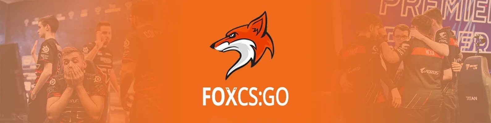 Fox cs go. Фокс кс го. лиса cs go. mr fox логотип. феникс фокс кс го.