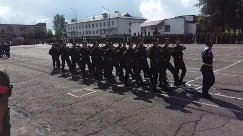 Присяга 10.08 2024