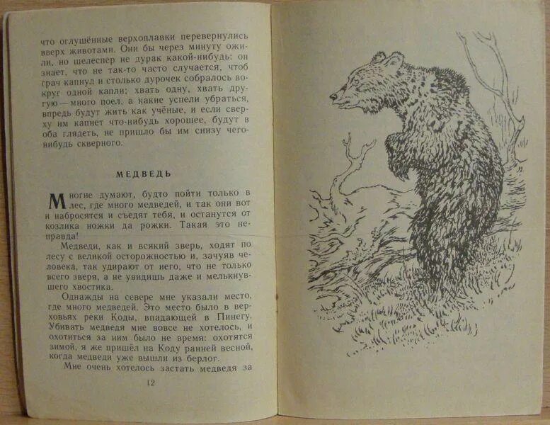 Рассказ Пришвина медведь. Пришвин рассказ медведь. Медведь-музыкант рассказ Пришвина.