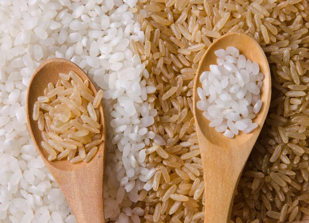 Различие риса. Шлифованный и нешлифованный рис. Белый нешлифованный рис. Белый не шлефованый рис. Рис бурый нешлифованный.