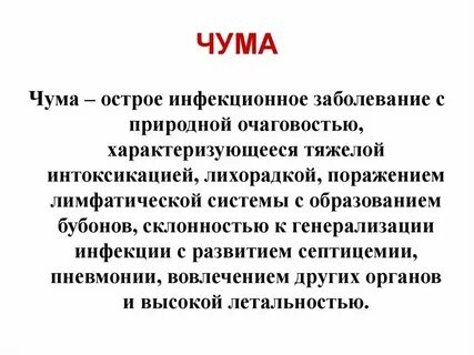 Чума текст