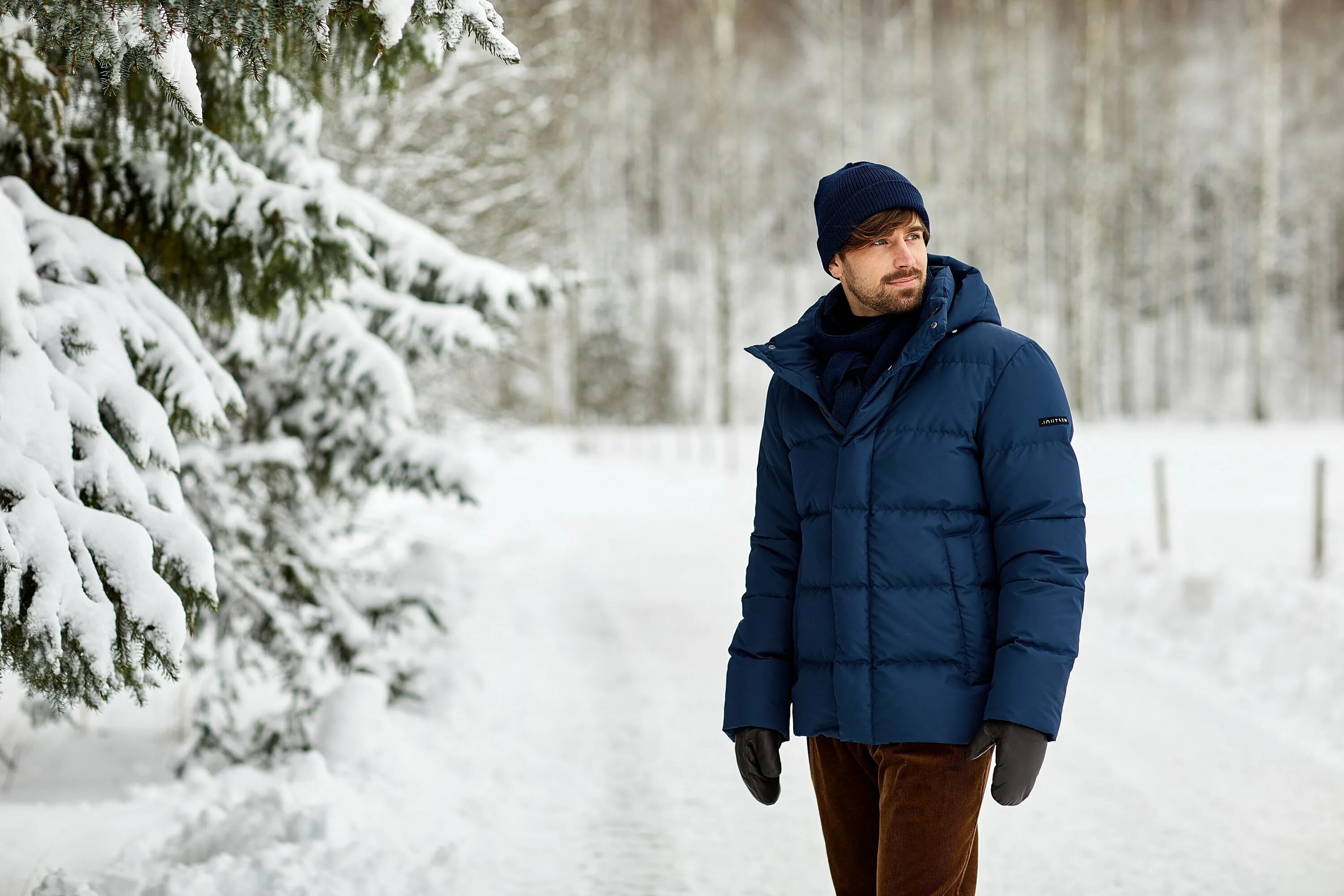 Пуховик йотсен мужской. Мужчина в пуховике. Модные мужские куртки. Мужчина в пуховике. Пуховик мужской 2020 massimo dutti.