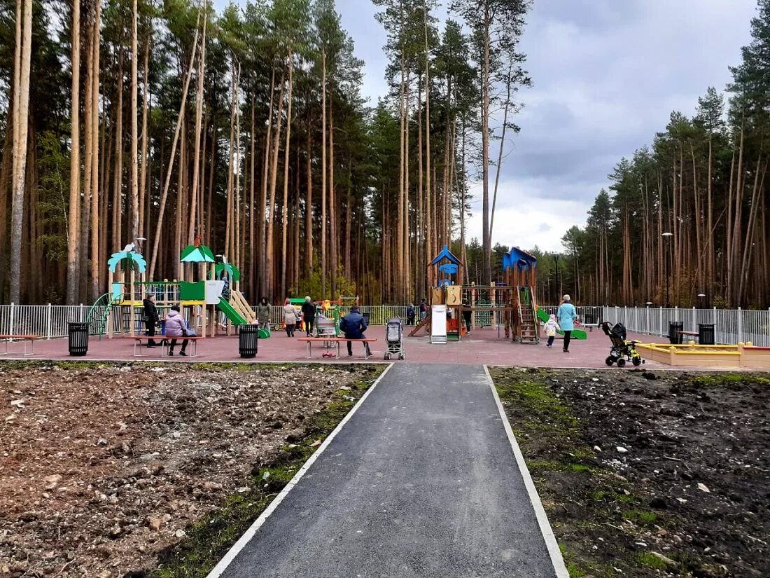 Тропа здоровья академический. Березовская тропа здоровья. Тропа здоровья свердловская область. Тропа здоровья березовский. Тропа здоровья березовский.
