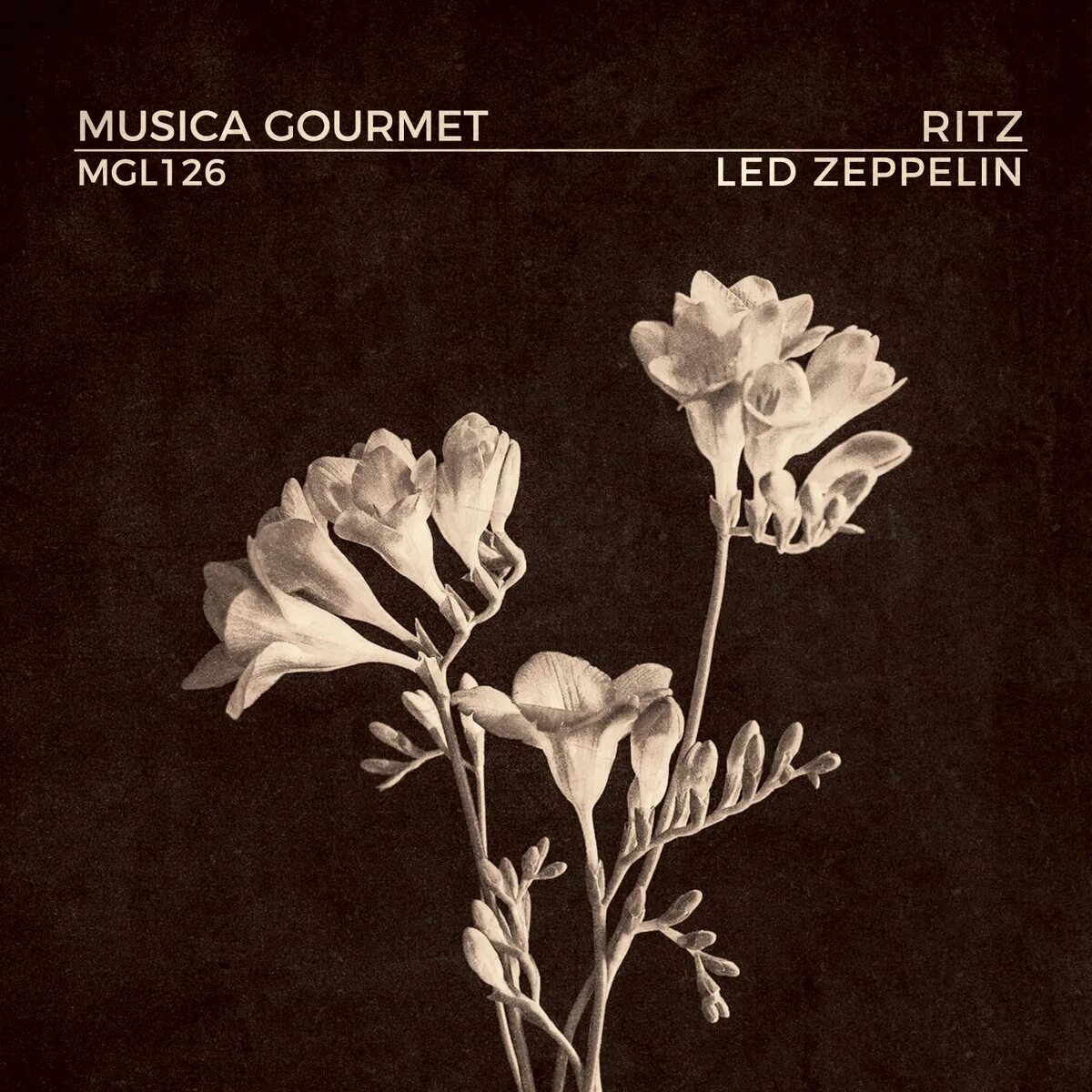 Альбом led. Led zeppelin.