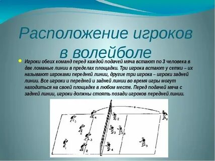 Волейбол позиции игроков и названия