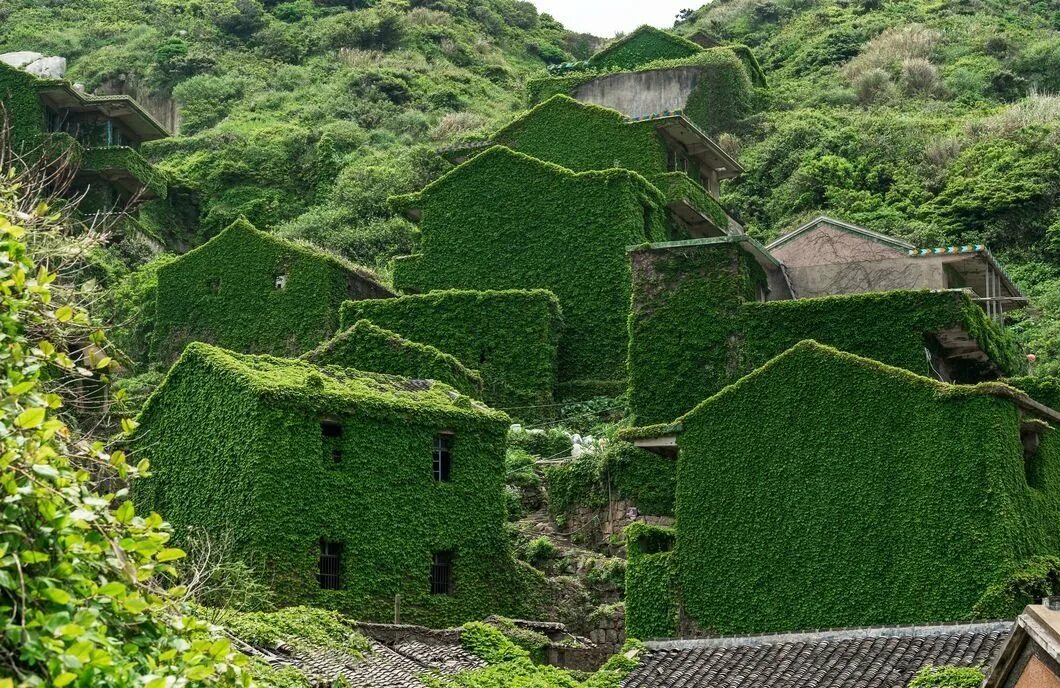 Заброшенная деревня остров шенгси. Альпийские луга германии. Хутуван. Зеленая деревня. Зеленая деревня.