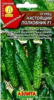 Огурцы настоящий