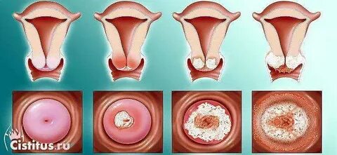 Краснодардағы ханым қызметтері