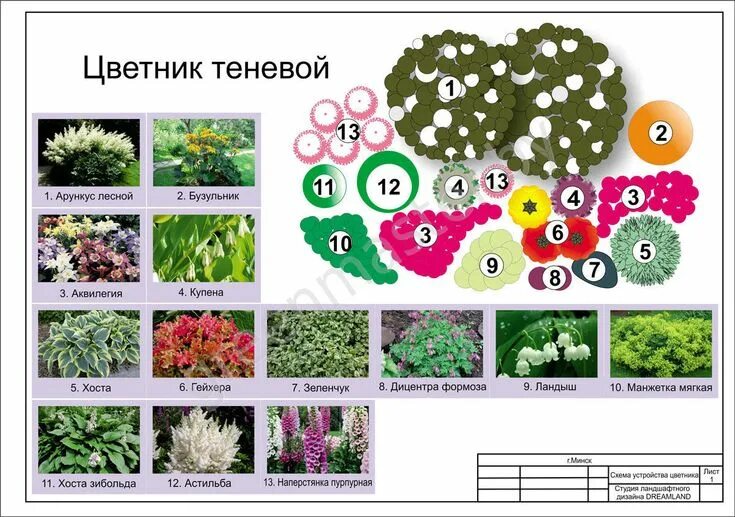 Миксбордер - это не что иное, как цветник из нескольких растений, скомбинированн