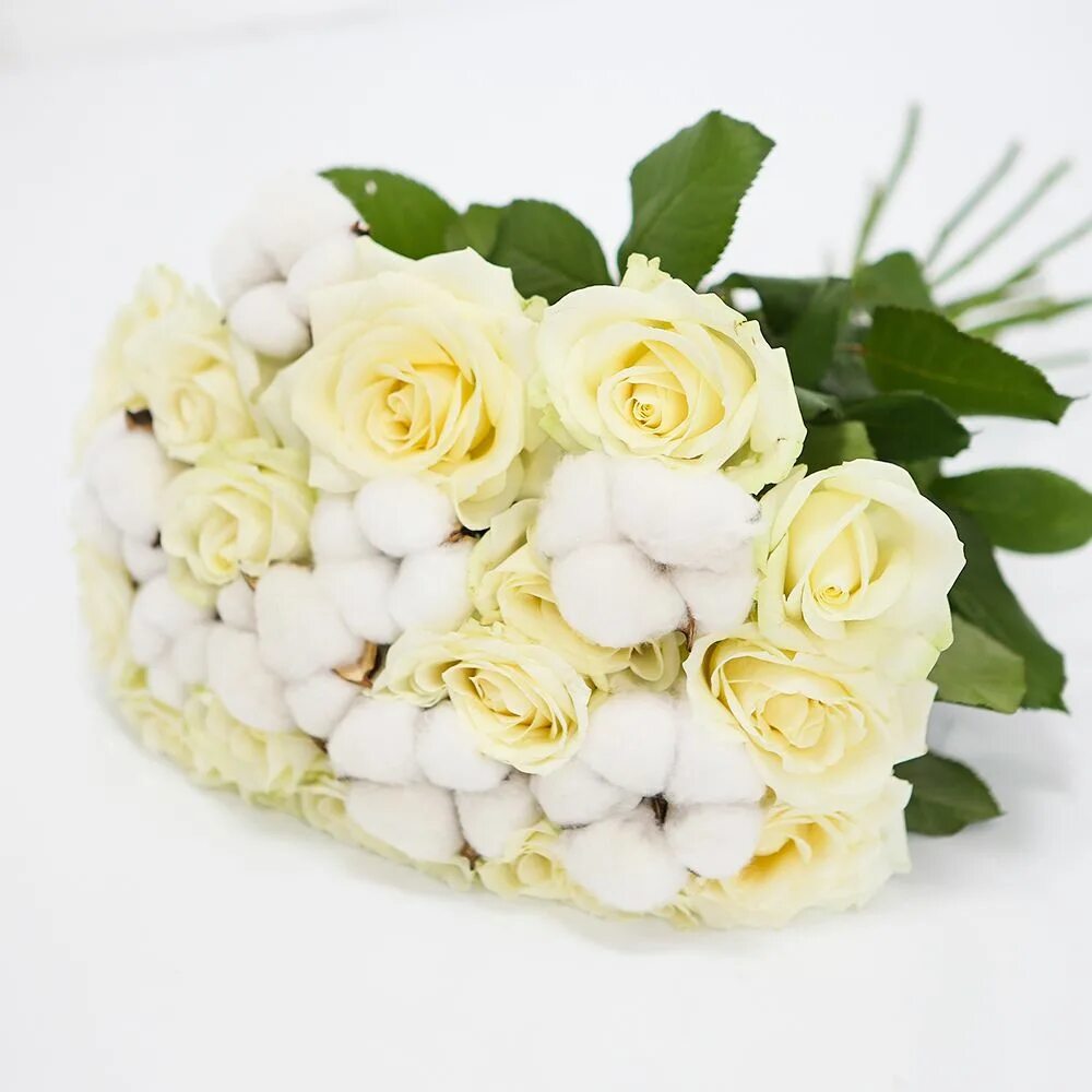 Розы белые низкие. Букет из белых роз. Белые розы с хлопком. Букет белых камелий. Букет из белых роз с хлопком.