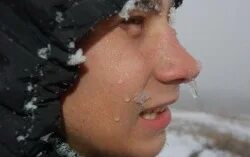 Мерзнут руки мерзнет нос. Холодный нос. Мёрзнут руки мерзнет нос стих. Вязаный чехольчик для носа. У меня нос замерз.
