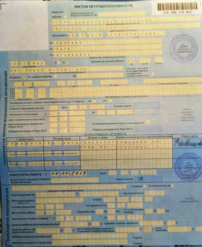 Сроки выплаты декретных по больничному листу Закон и порядок