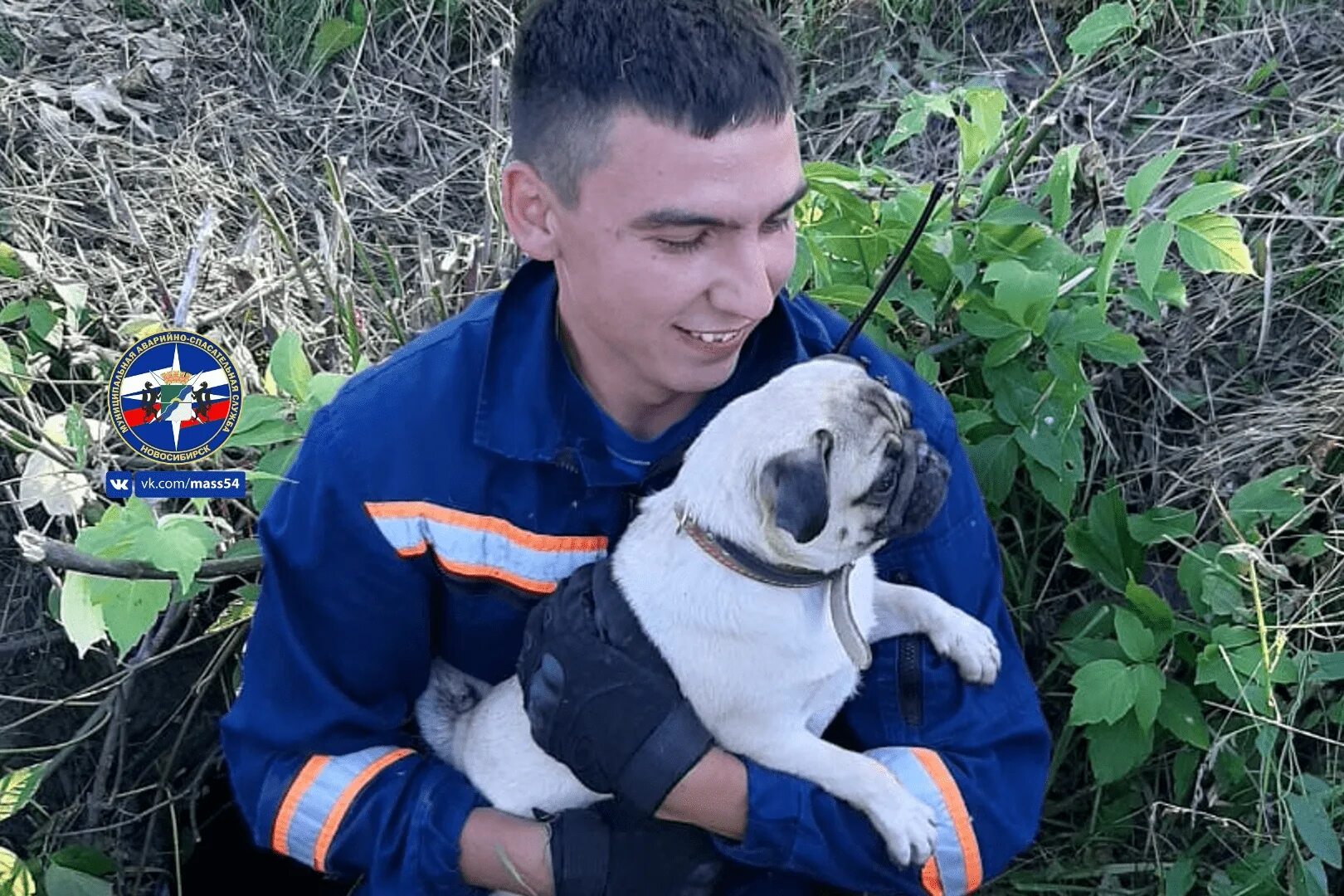 Спас домашние. Спас домашние. Спас домашние. Зао ук спас-дом новосибирск. Спас домашние.