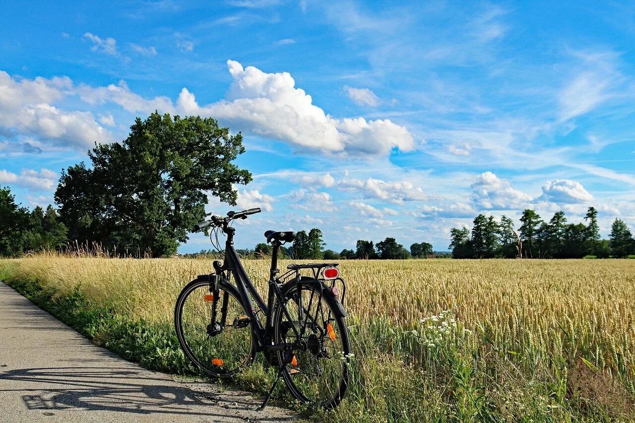 Картинки лета 2. Велосипед в поле. Велосипед на природе. Велосипед летом. Лето.