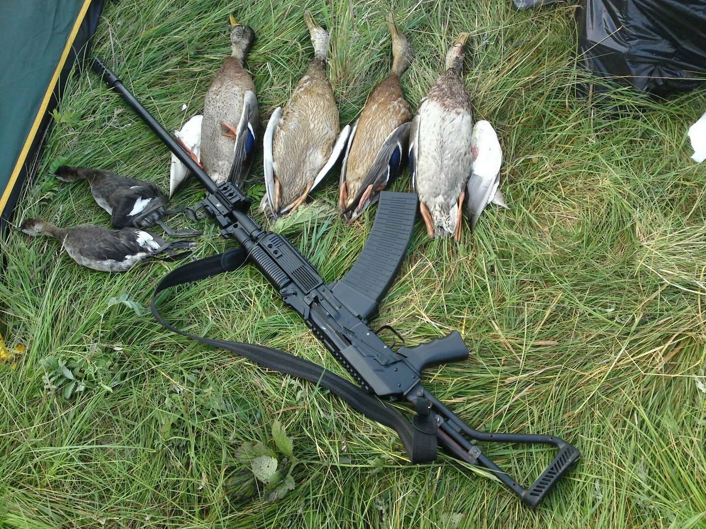 в каких местах охотятся