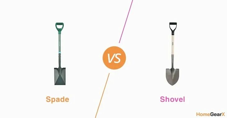 Shovel перевод. Spade Shovel. Shovel vs Spade. Spade and Shovel difference. Spade и Shovel отличия.