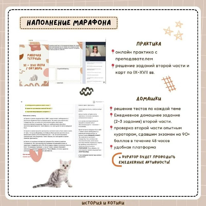 история котиков егэ