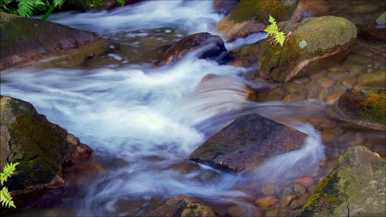 Source вода. Родниковая вода.