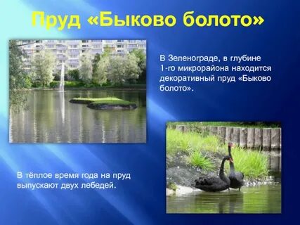 12 водоемов