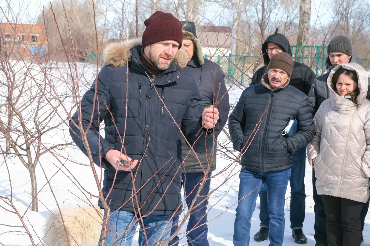 Отдам мичуринск. Иосиди Мичуринск. Мичуринск Тамбовская область.