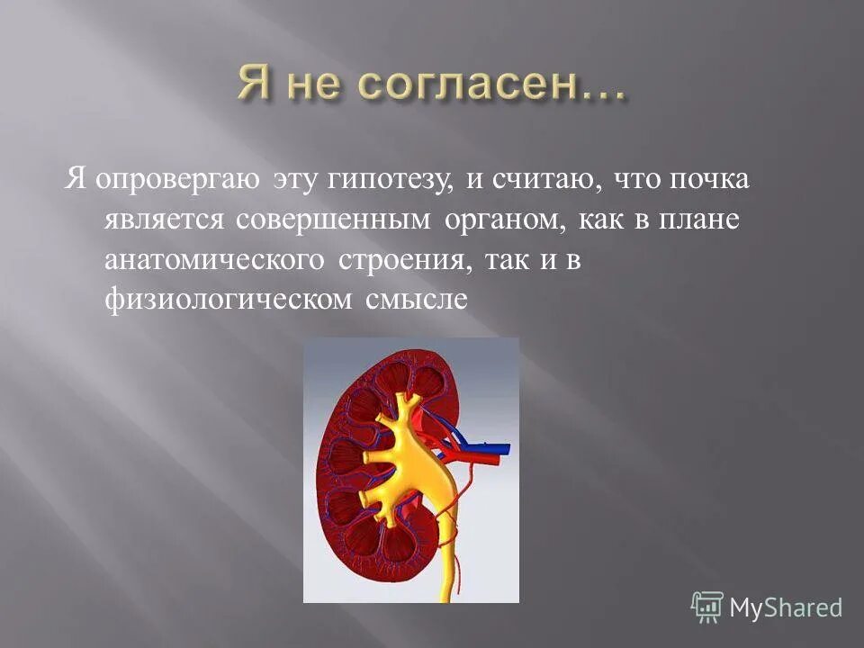 почему почки биологический фильтр