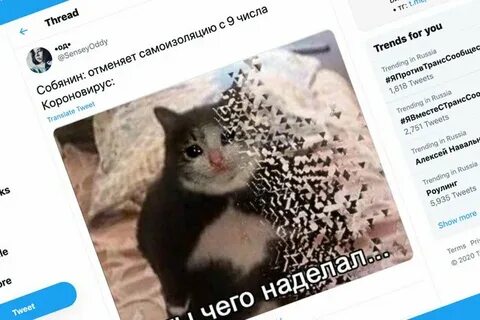 Пошла на поправку