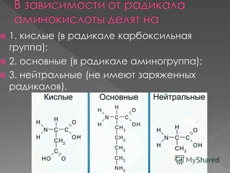 Атом углерода карбоксильной группы. Аминокислоты с аминогруппой в радикале. Группа Cooh строение. Классификация аминокислот по положению аминогруппы. Аминокислота, содержащая в боковом радикале карбоксильную группу:.