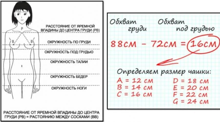 Сколько сантиметров считается. Как правильно подобрать бюстгальтер по размеру. Как подобрать правильно размер бюстгальтера лифчик по размеру. Как правильно выбрать бюстгальтер по размеру для женщины. Как правильно выбирать лифчик по размеру и форме.