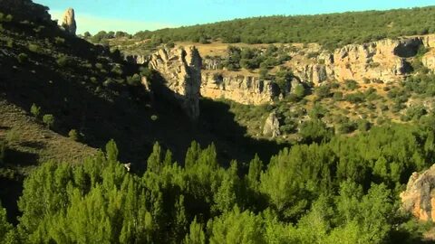 Kora del