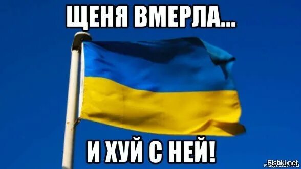 Героям слава мем. Сало уронили героям сала. Слава героям. Слава фашизму. Герой слав мем.