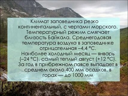 Байкальский заповедник сообщение