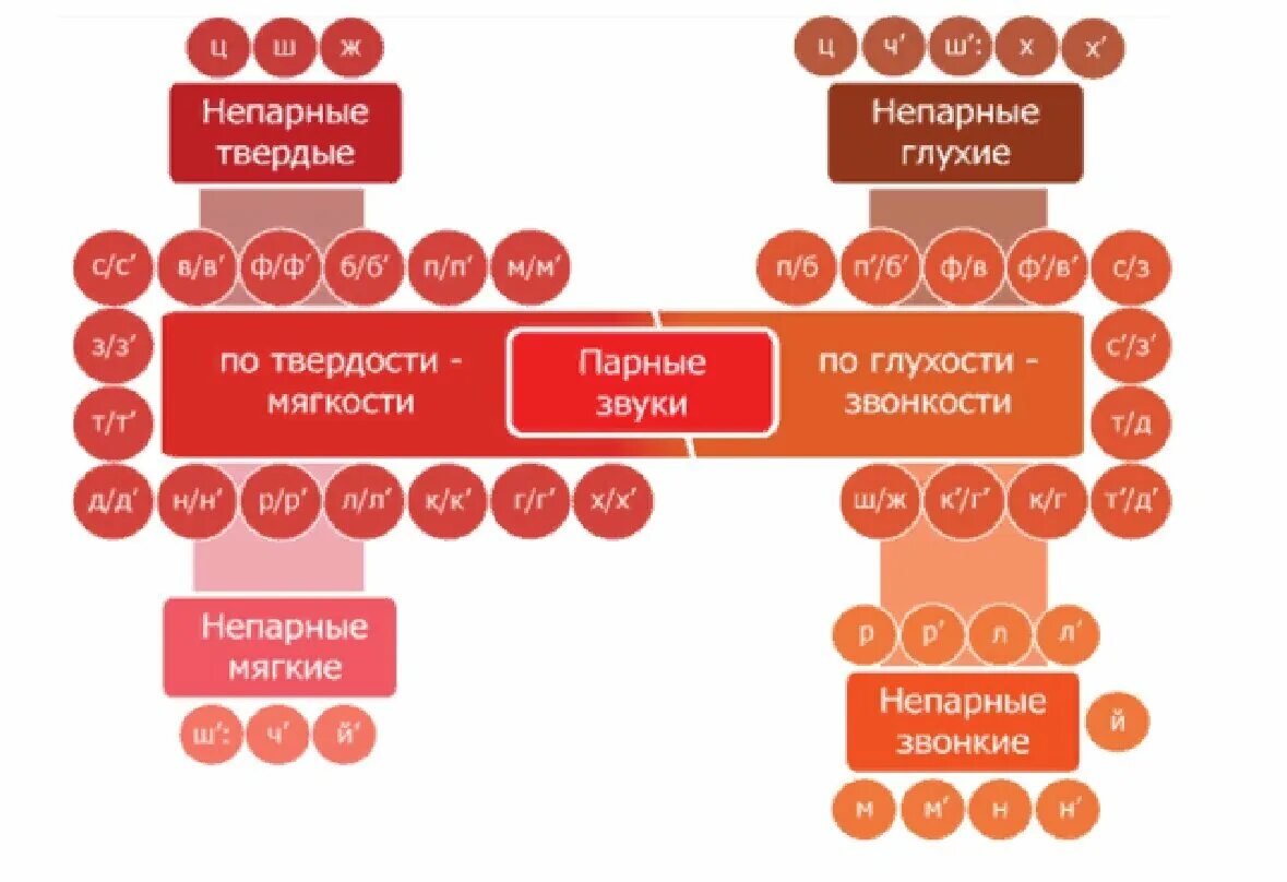 Звонкая сторона. Согласные парные и непарные по твёрдости-мягкости глухости-звонкости. Непарные согласные по твердости-мягкости и глухости звонкости. Звуки парные и непарные по твердости мягкости глухости звонкости. Пары по глухости звонкости твердости мягкости.