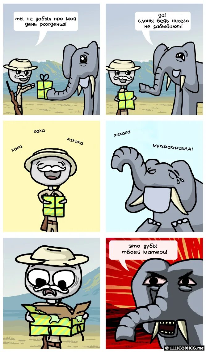 слоненок мем. слонилище. память слона. слоны думают что люди милые. слоны ничего не забывают.