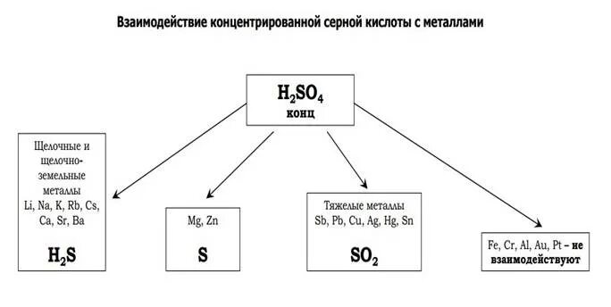 Таблица реакция серной кислоты. Схема взаимодействия концентрированной азотной кислоты с металлами. Схема взаимодействия серной кислоты с металлами. Схема взаимодействия азотной кислоты с металлами. Взаимодействие металлов с концентрированными кислотами схема.